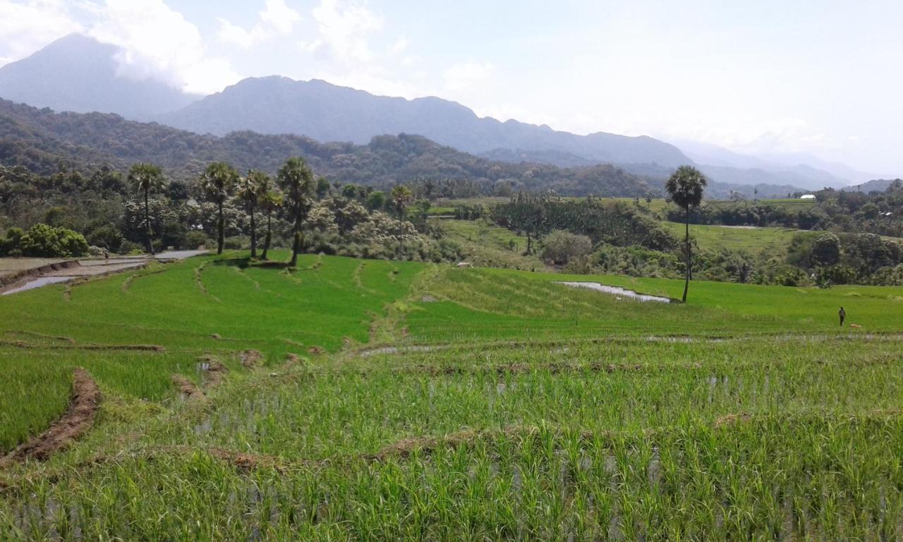 Kristian Homestay Bajawa Luaran gambar